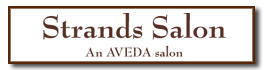 Strands Salon Logo